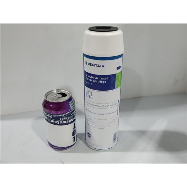 CARTOUCHE DE CHARBON ACTIF GRANULAIRE 10" PENTAIR GAC-10