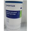 Image 4 : CARTOUCHE DE CHARBON ACTIF GRANULAIRE 10" PENTAIR GAC-10