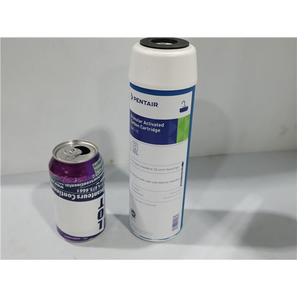 CARTOUCHE DE CHARBON ACTIF GRANULAIRE 10" PENTAIR GAC-10