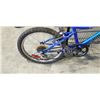 Image 2 : SUPERCYCLE YOUTH BIKE