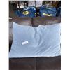 Image 1 : BLUE BEAN BAG PILLOW / CUSHION