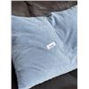 Image 2 : BLUE BEAN BAG PILLOW / CUSHION