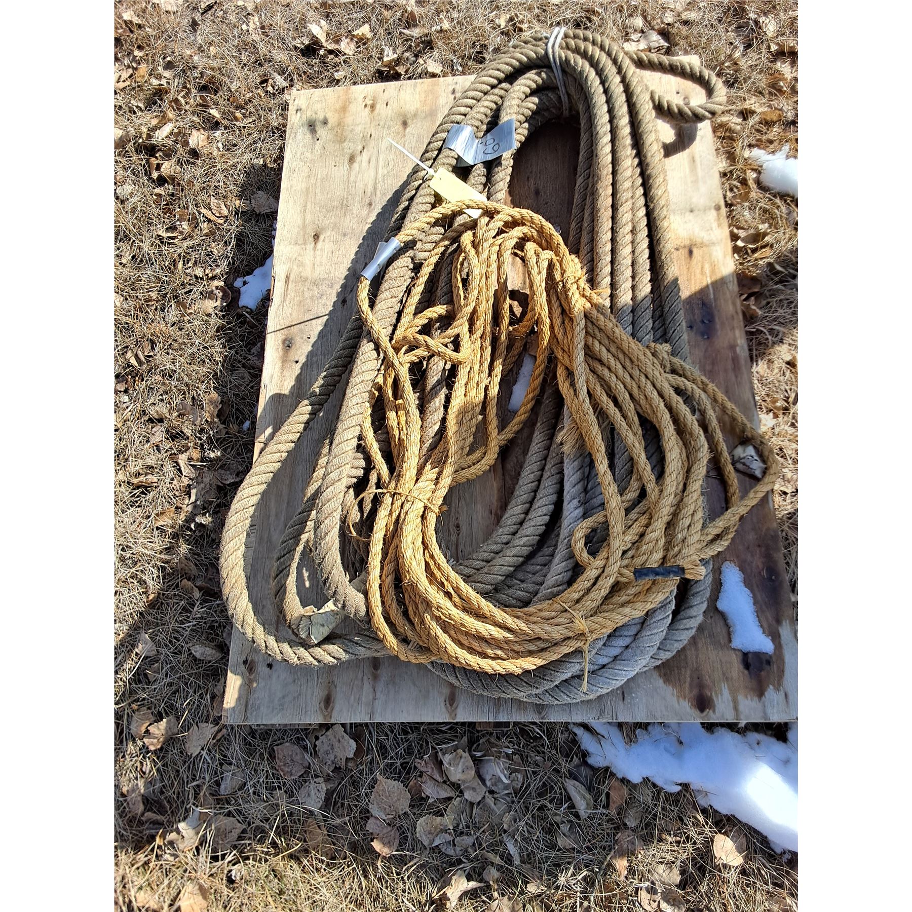 (2) Ropes (60' - 1