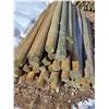 Image 1 : (50) 6' Treated Wooden Fence Posts - 4" Diameter