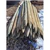 Image 2 : (50) 6' Treated Wooden Fence Posts - 4" Diameter