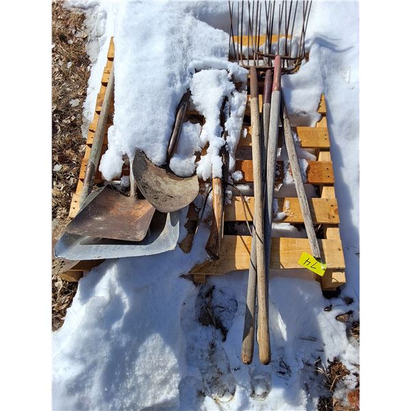 (4) Pitch Forks, (2) Spades, (2) Shovels, (1) Axe