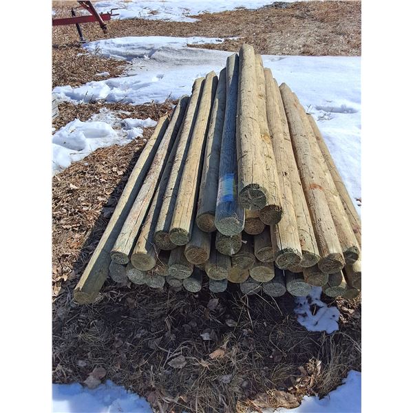 (50) 6' Treated Wooden Fence Posts - 3"-4" Diameters