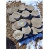 Image 1 : (30) Concrete Stepping Stones - 10" Diameter