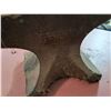 Image 4 : Canadian Blower & Forge Co Anvil
