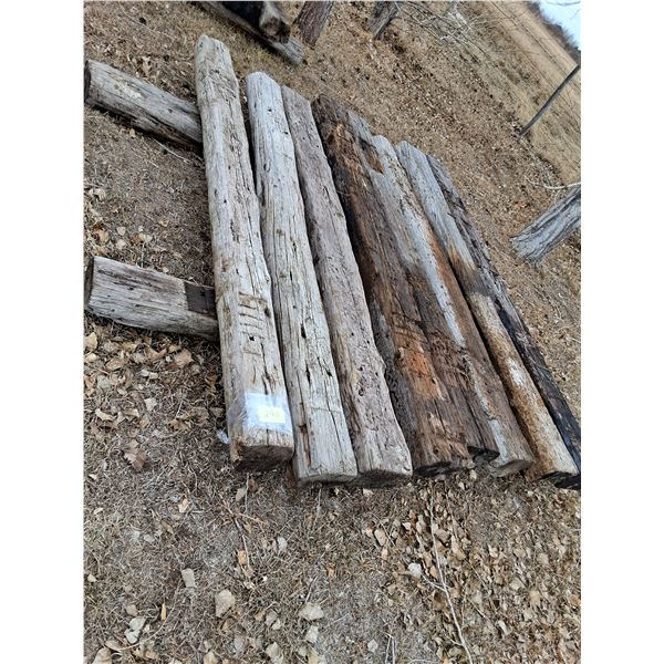 (10) Railroad Ties