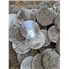 Image 2 : (35) 10" Stepping Stones