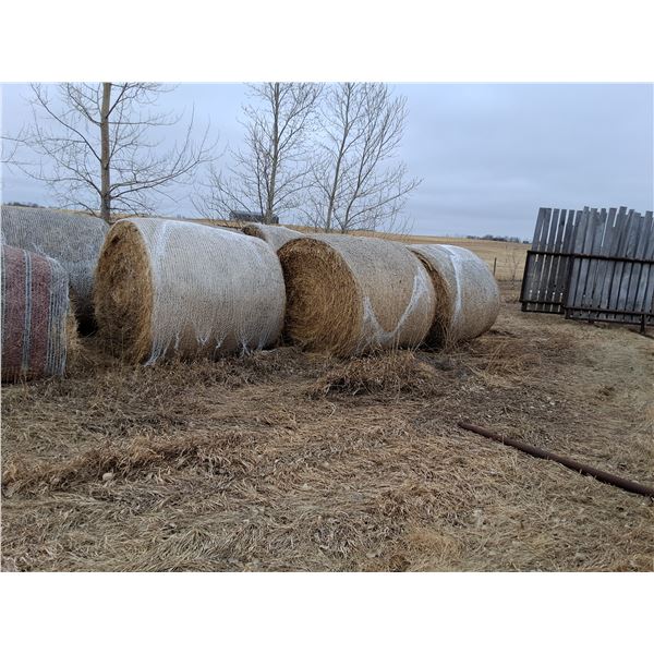 7- 5x5.5' Grass Alfalfa Bales -  Approx 1100lbs