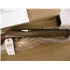 Image 2 : Ruger 10/22