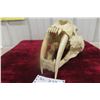 Image 2 : Sabre Tooth Skull Replica (Looks Very Real)