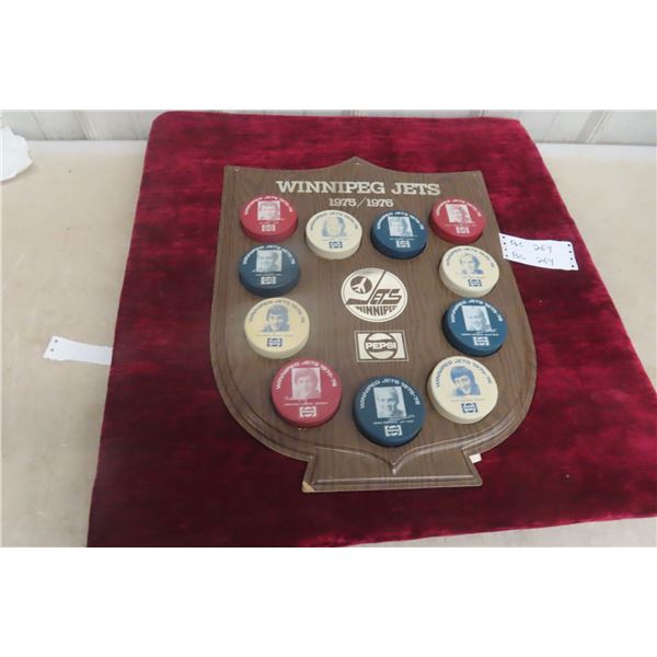 Winnipeg Jets 1975/76 Pepsi Promotion Shield with 11 Pucks (Bobby Hull, Joe Daley, and More), Rare
