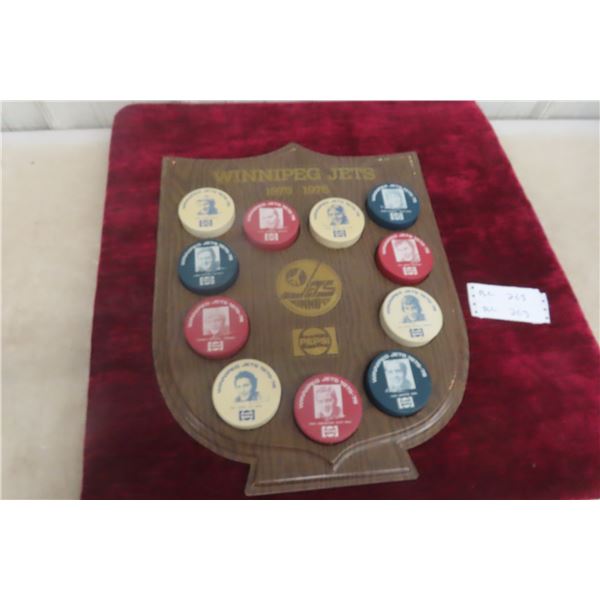 Winnipeg Jets 1975/76 Pepsi Promotion Shield with 11 Pucks, Rare Set, Hang or Easel Back