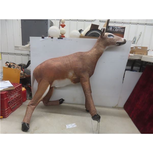 Deer Decoy