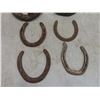 Image 5 : Twenty Lucky Horseshoes