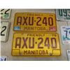 Image 3 : Nine License Plates Including Four Vintage Plates and Two Bison Plates, Manitoba and Florida