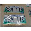 Image 4 : Nine License Plates Including Four Vintage Plates and Two Bison Plates, Manitoba and Florida
