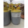 Image 6 : 2 1/2 Tanks Refrigerants