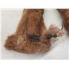 Image 11 : Fur-Trimmed Jacket and Fur Tash, Size Small, Some Damage