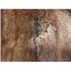 Image 9 : Fur-Trimmed Jacket and Fur Tash, Size Small, Some Damage