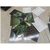 Image 12 : Sixteen Rembrandt Books with Full-Color Prints, Plus Marijuana Trading Cards