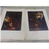 Image 16 : Sixteen Rembrandt Books with Full-Color Prints, Plus Marijuana Trading Cards