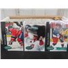 Image 3 : Five Hundred Ten 1992–93 Parkhurst Series 1, 2 & Final Hockey Cards Set