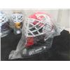 Image 5 : Seven Replica Goalie Masks