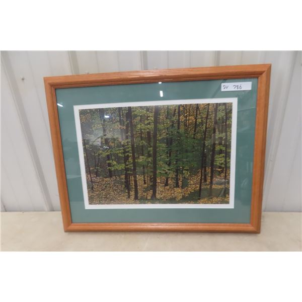 Framed Hand-Signed Print by David Hambling, 22" x 28"