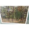 Image 2 : Framed Hand-Signed Print by David Hambling, 22" x 28"