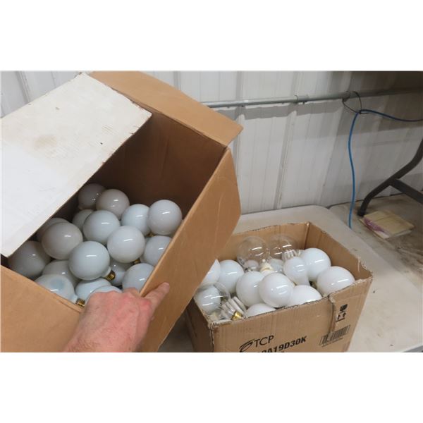 Box of Light Bulbs (20" x 15" x 18")