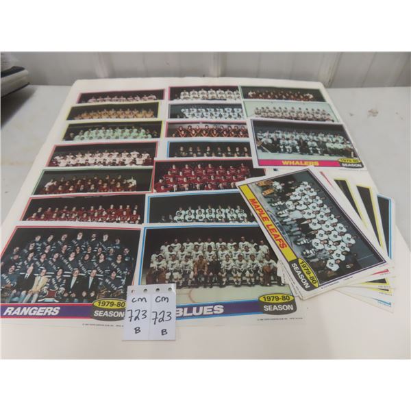1980–81 Topps Team Photo Collection