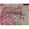 Image 2 : 1975 Skiroule Snowmobile Gas Tank