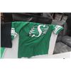 Image 6 : Saskatchewan Roughrider T-Shirt, Bikini, and Long-Sleeve Shirt