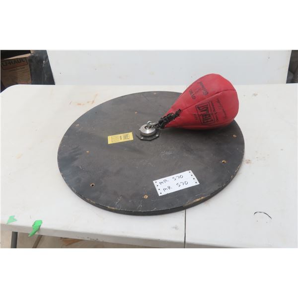 Everlast Speed Punching Bag on Mounting Board