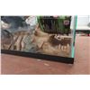 Image 5 : Reptile Aquarium with Heat Lamp and Accessories, 12" x 11" x 20"
