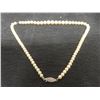 Image 4 : Vintage Faux Pearl Necklace with Sterling Clasp, 17" Length