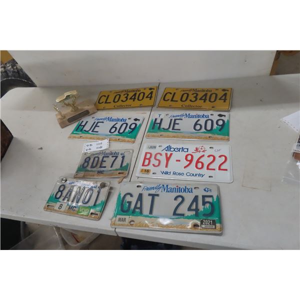 Eight License Plates – Auto & Motorcycle Collection, Issue & Stock Car Trophy