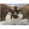 Image 10 : Carved Moose Antlers with Eagle 46" Across
