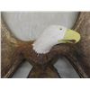 Image 2 : Carved Moose Antlers with Eagle 46" Across