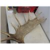 Image 5 : Carved Moose Antlers with Eagle 46" Across