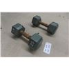Image 2 : Two Steel 25 lb Each Dumbbells