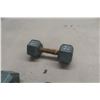 Image 4 : Two Steel 25 lb Each Dumbbells