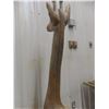 Image 6 : Carved Giraffe, 67" Tall