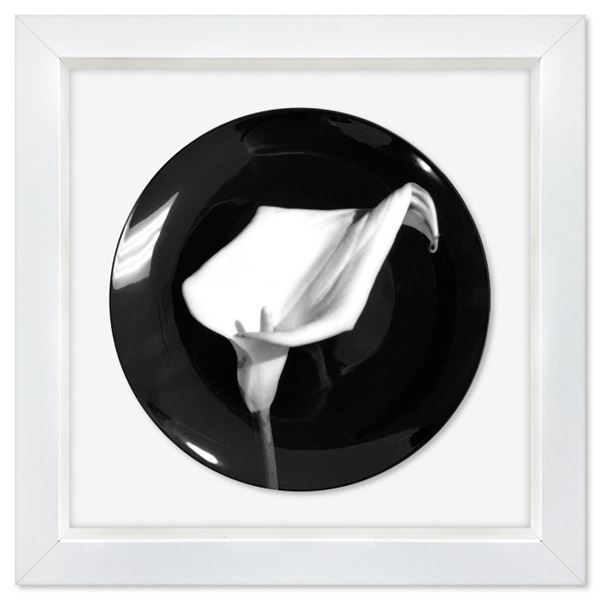 Calla Lily (1987) by Robert Mapplethorpe (1946-1989)