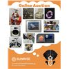 Image 1 : Online Auction