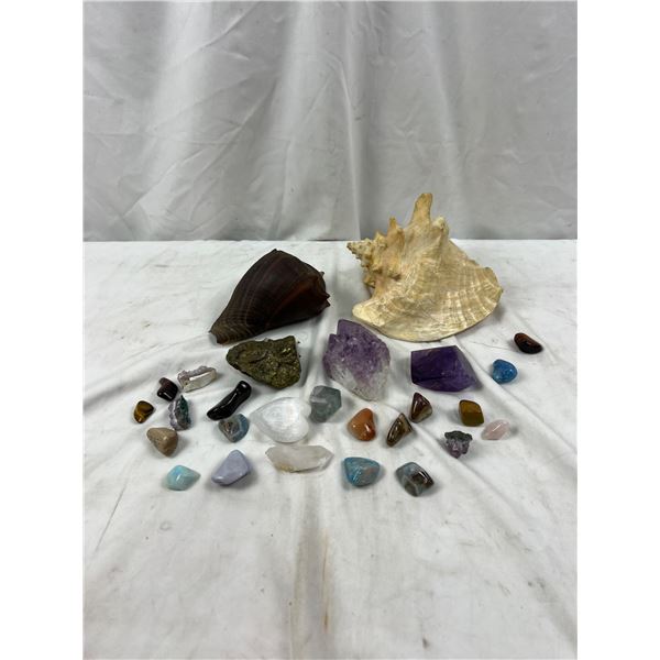 Shells & Geodes